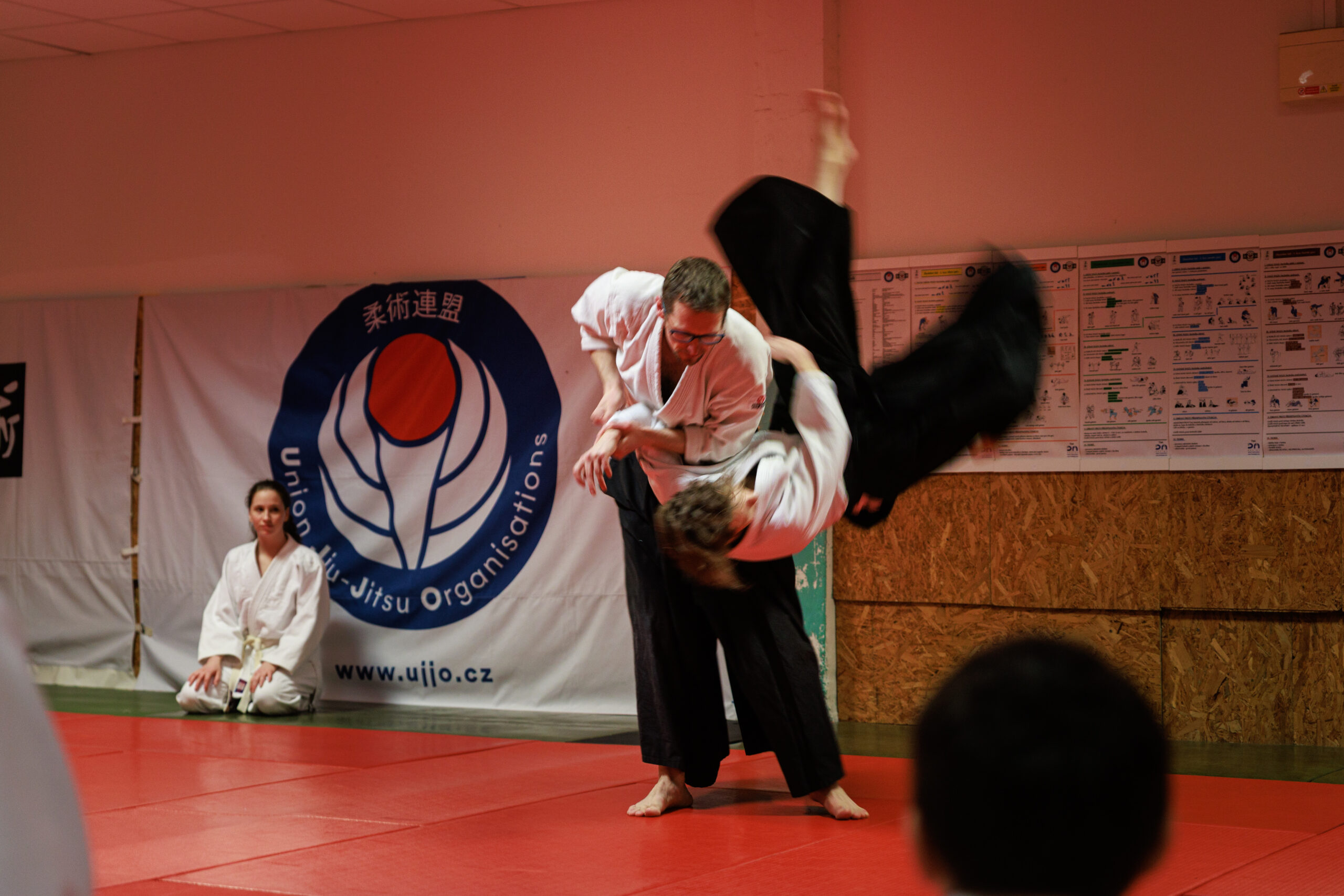 Cvičení v dojo-aikido Cvičení v dojo-aikido