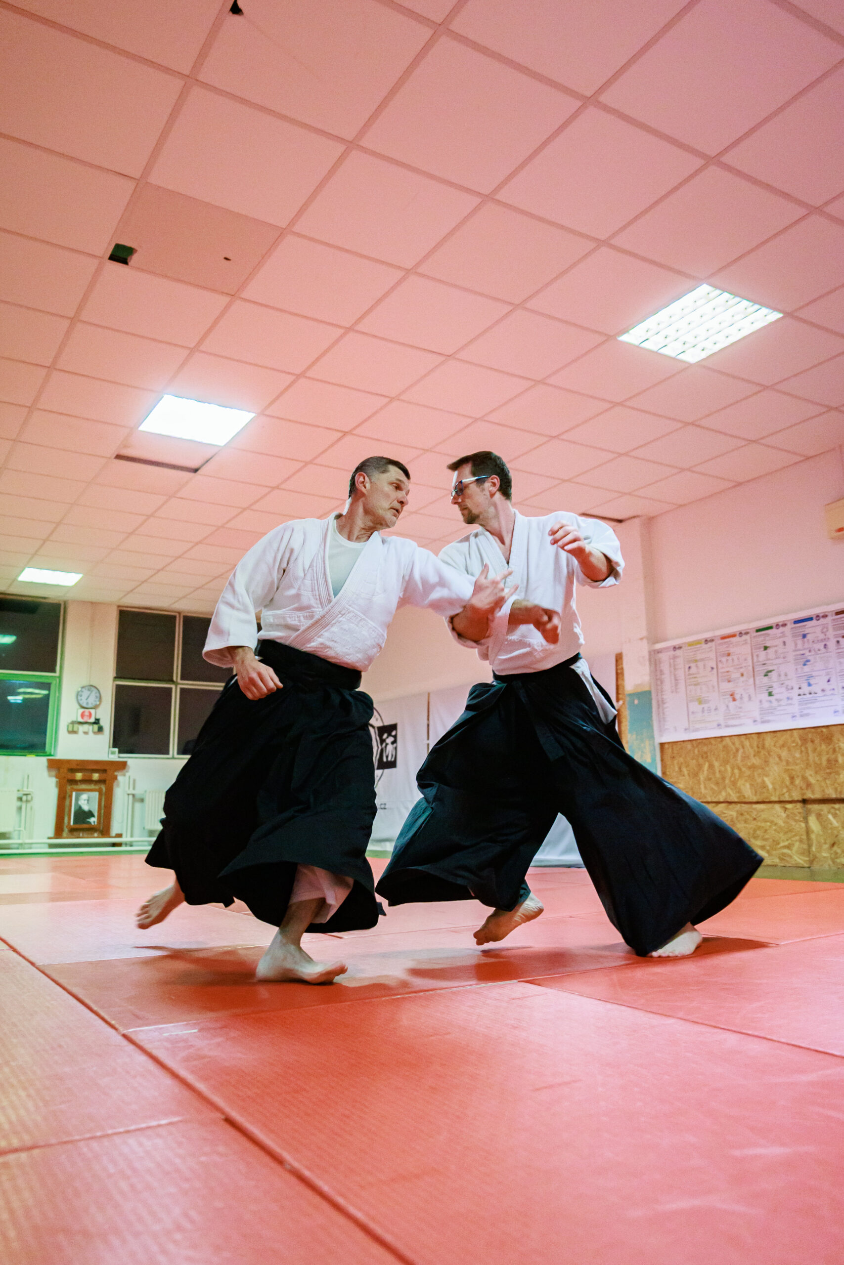 Cvičení v dojo-aikido Cvičení v dojo-aikido